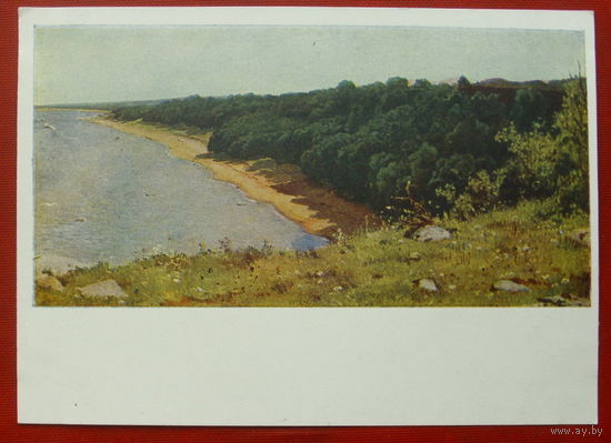 Шишкин. На берегу моря. Чистая. 1963 года. 1709.