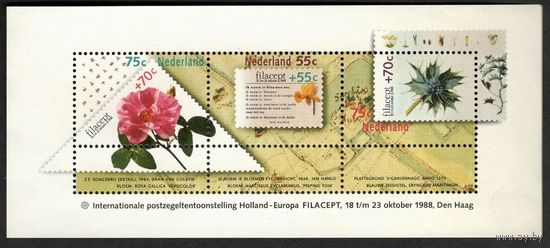 1988 Нидерланды 1336-38/B31 Цветы