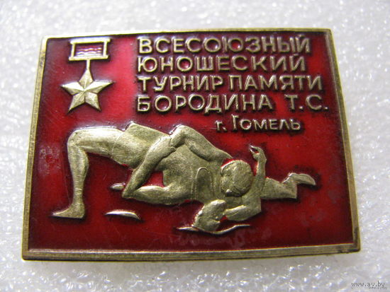 Знак. Всесоюзный юношеский турнир памяти Бородина Т.С. г.Гомель. тяжёлый
