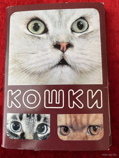 Кошки. 1989 год. 18 открыток