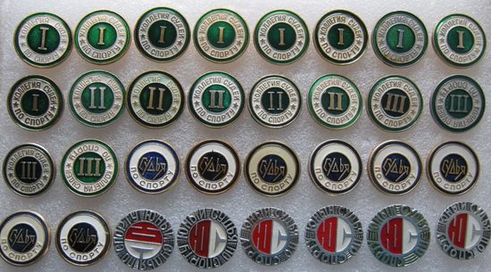 Судья по спорту, юный судья по спорту, цена за 1 шт., на выбор.