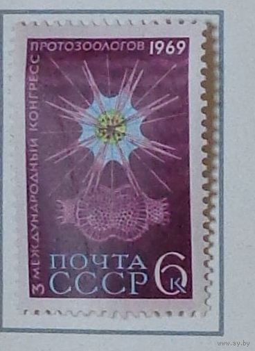 1969, июнь. III Международный конгресс протозоологов в Ленинграде