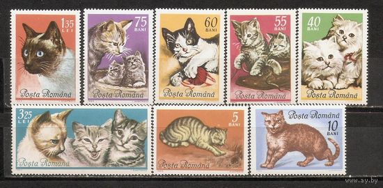 ФФ1 Румыния 1965 Кошки