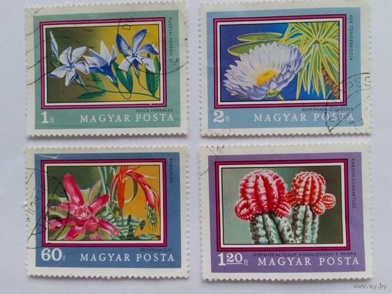 Марки  Венгрия   Цветы 1971 4  шт. - 2,00 руб 203.