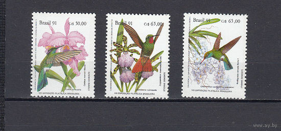 Фауна. Птицы. Бразилия. 1991. 3 марки. Michel N 2435-2437 (2,1 е)