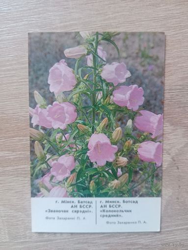 Календарик 1988