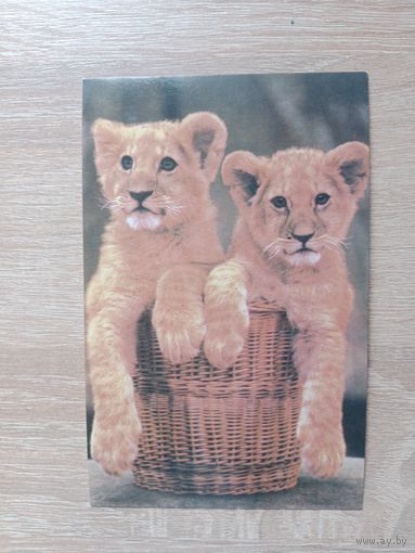 Открытка 1985