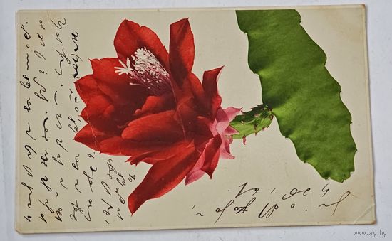 До 1917 года Открытка