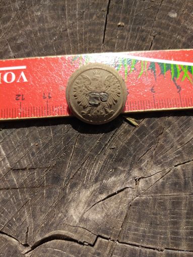 Орлик. Польша (4). Находка