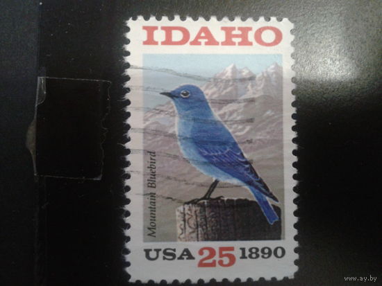 США 1990 птица