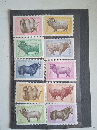 Марки монголия дом.животные **