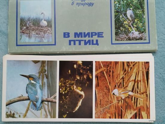 Открытки В мире птиц, 1982