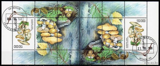 Грибы Беларусь 1999 год (345) 1 блок тет-беш
