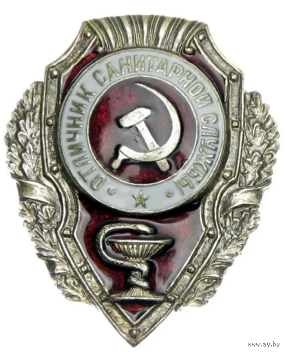 Копия Знак Отличник санитарной службы
