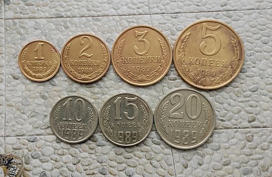 Сборный лот монет СССР 1989 года (всего 7 штук).