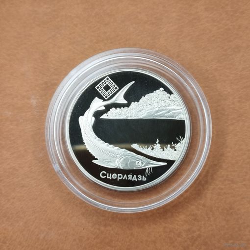 1 рубль 2007. Заказник Днепро-Сожский. Стерлядь