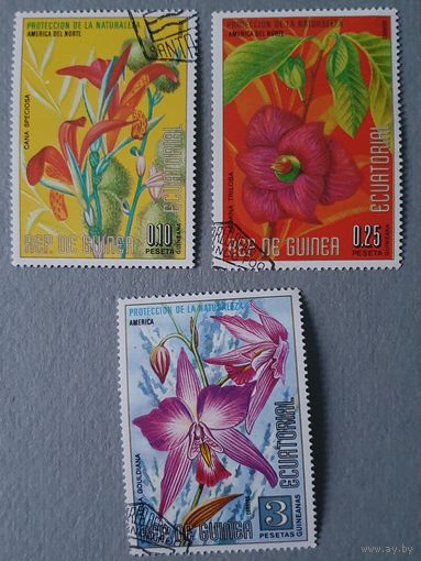 Гвинея цветы 2шт