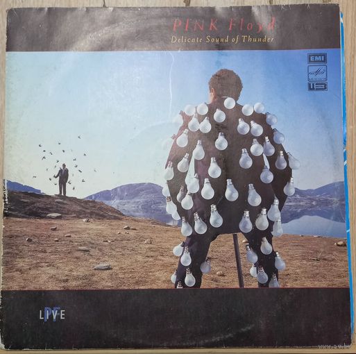 Pink Floyd - Delicate Sound Of Thunder / 2LP