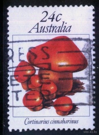 Австралия - 1981 [Mi. 762] Гашеная (AU18)