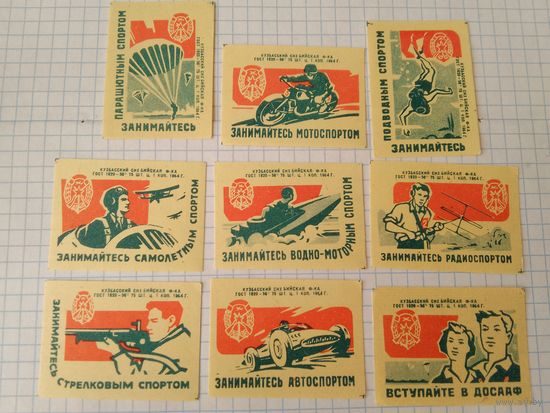 Спичечные этикетки ф.Бийск. ДОСААФ. 1964 год