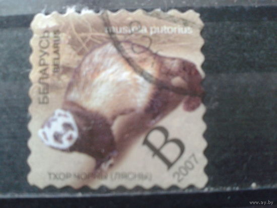 2007 Хорь