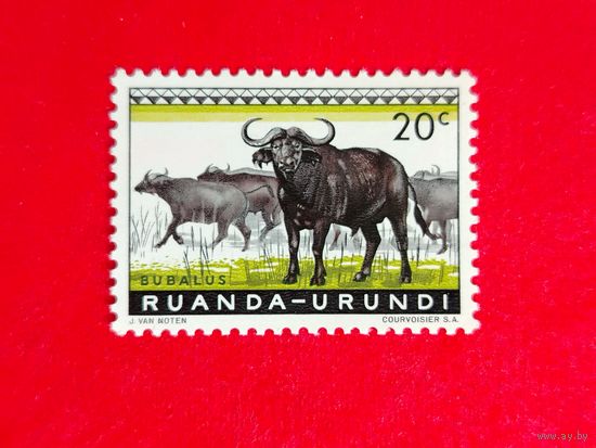 Руанда. Фауна. ( 1 марка ) 1959 года. 8-8.