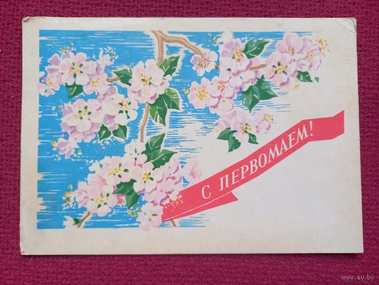 С Первомаем! Антонченко 1964 г.