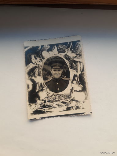 Фотография Военный Германия