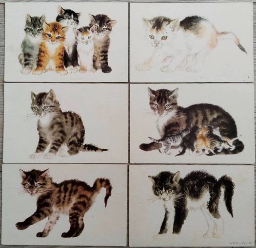 Котята. Худ. В.Лебедев. 6 шт. Чистые. 1970 г.