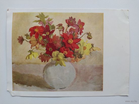Открытка. Георгины. Художник К. Купецио. 1960 год. Подписана!