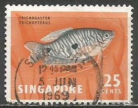 Сингапур. Рыбы. Пятнистый гурами. 1962г. Mi#63.