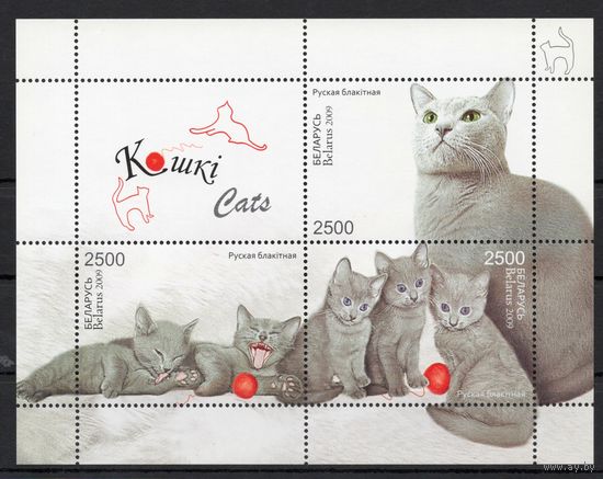 Беларусь 2009.  Фауна. Кошки блок (488)