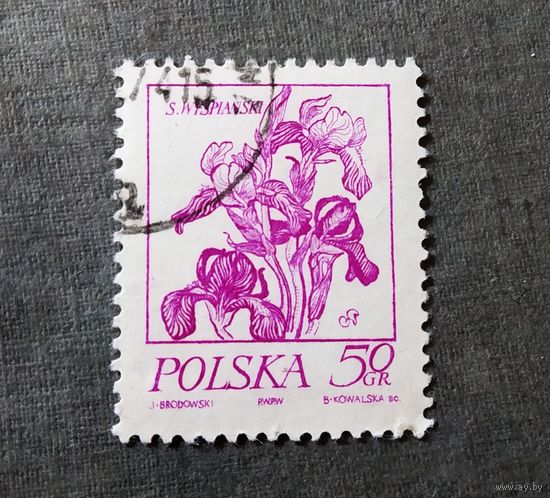 Марка Польша 1974 год Цветы