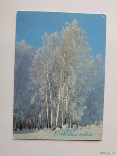 Открытка. С новым годом! Фото А. Богданова. 1988 год. Чистая