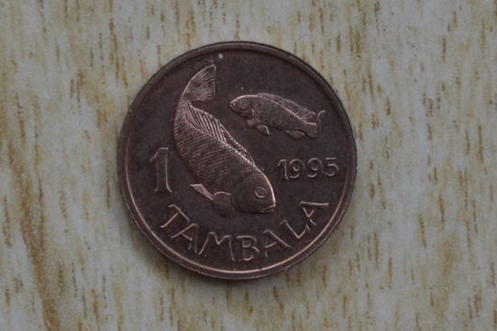 Малави 1 тамбала 1995