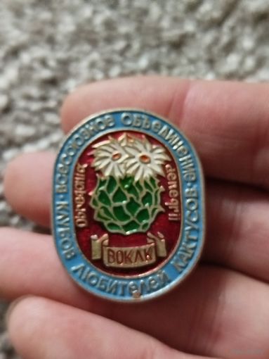 Клуб любителей кактусов 2