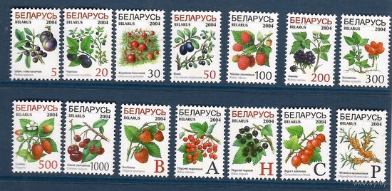 Беларусь. 2004. Ягоды. Серия из больших листов