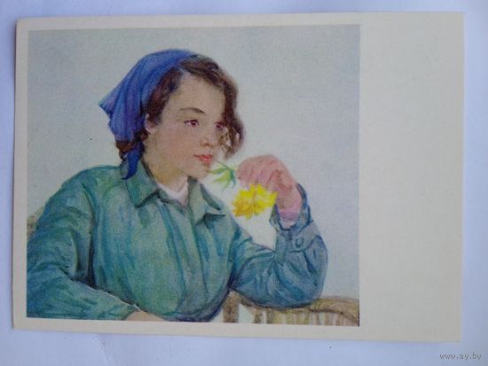 Жуков Н. Стихи