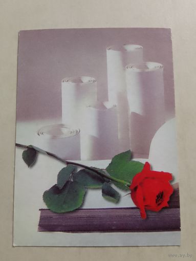 Карманный календарик. Минск. Роза. 1999 год