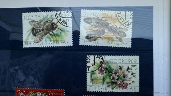 Марки , 1989г. СССР, пчёлы