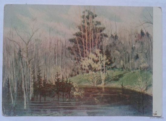 Романдин Н.В.   Весна.   1954 г.