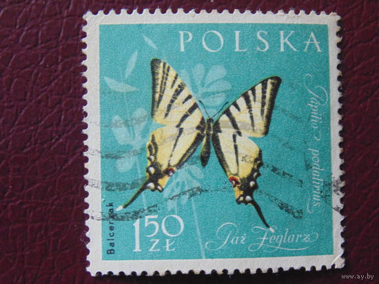 Польша 1967 г. Бабочки.
