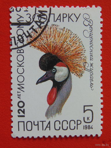 СССР 1984 г. Фауна.