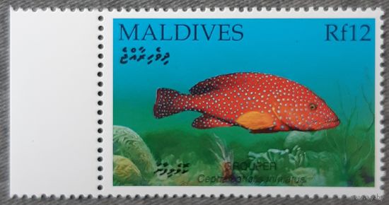 2006 - Красный коралловый групер- Мальдивы