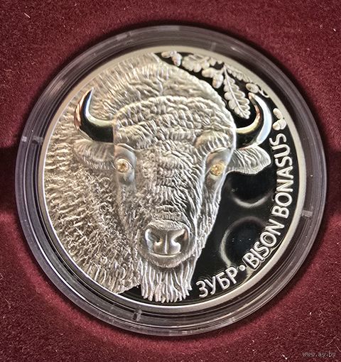 Зубр. Защита окружающей среды. Серебро. 20 рублей. 2012 год.