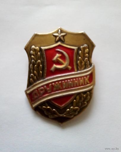 Знак. Дружинник.