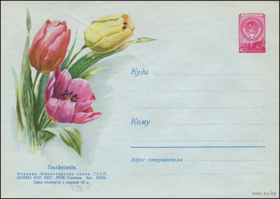 Художественный маркированный конверт СССР N 379 (08.03.1957) Тюльпаны.