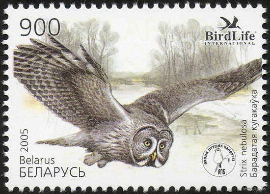 Птица года. Бородатая неясыть Беларусь 2005 год (606) серия из 1 марки
