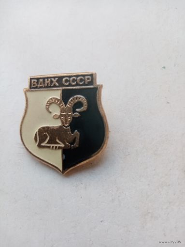 ЗНАЧОК ВДНХ-СССР