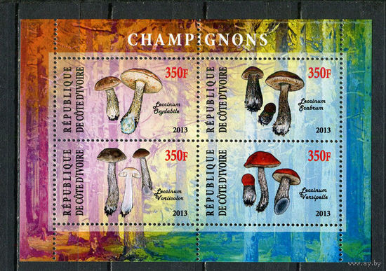 Кот-д 'Ивуар - 2013 - Грибы - 1 блок. MNH.  (Лот 36JQ)-T3P16